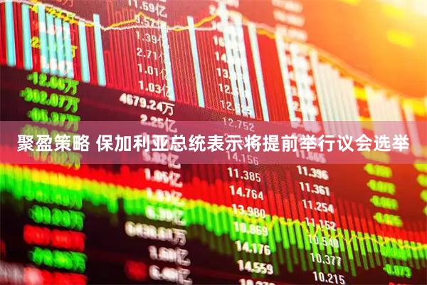 聚盈策略 保加利亚总统表示将提前举行议会选举
